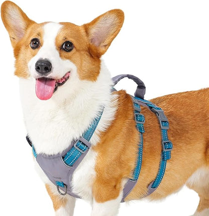Huntboo Reflective Dog Harness with Handle, Escape Proof, No Slip, Breathable, Lightweight, Adjustable Lift Harness for Small, Medium, and Large Dogs Walking, Training, and Running Gear(Teal Blue,XS)