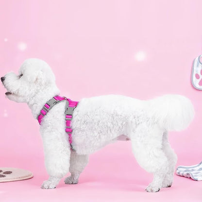 Small Dog Harness and Leash Set, No Pull Adjustable Pet Harness for Small Dogs, Breathable Mesh Rflective Dog Vest Harness (Rose Red, M)
