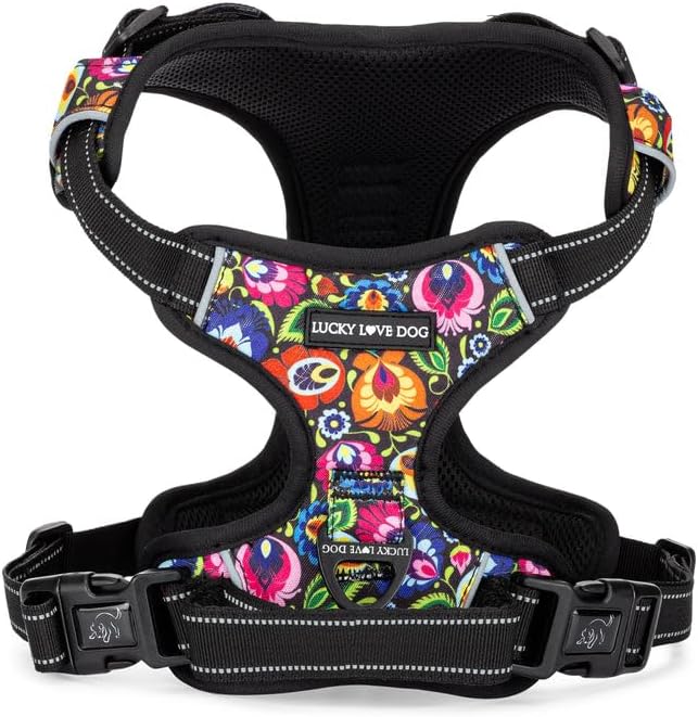 Lucky Love Dog No Pull Dog Harness, Adjustable and Easy to Walk, Cute Patterned Harness for Small Medium Large Male & Female Dogs - Blackbird, XXS