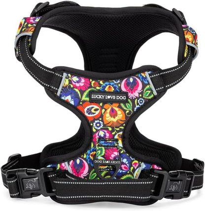 Lucky Love Dog No Pull Dog Harness, Adjustable and Easy to Walk, Cute Patterned Harness for Small Medium Large Male & Female Dogs - Blackbird, XXS