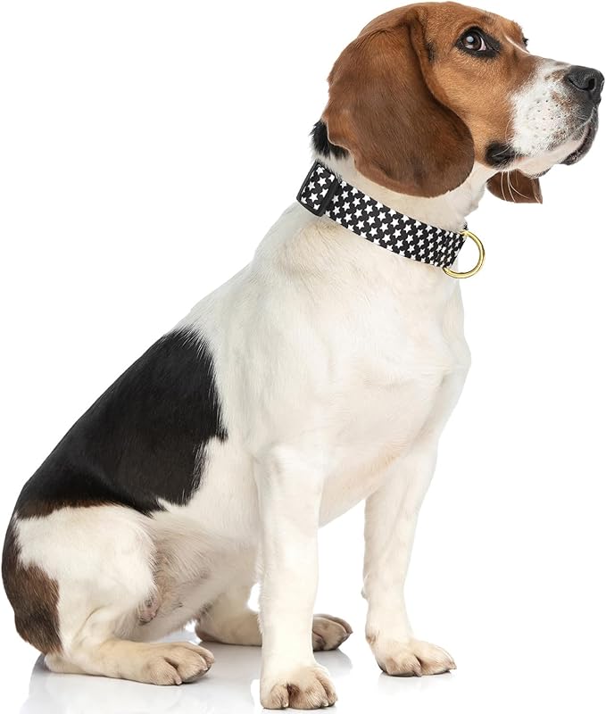 Rnivvi Dog Collar for Medium Dogs, Cute Heavy Duty Adjustable Puppy Collar with Quick Release Buckle for Boy Girl & Female, Pet Accessories for Walking Running, M Length 1" Width, Black Star