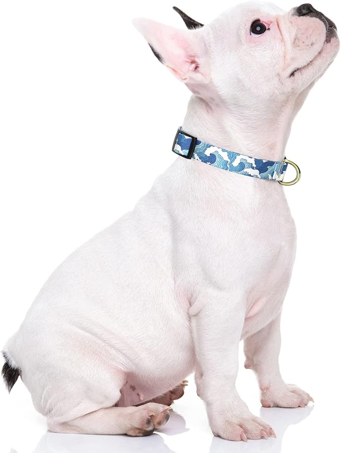 Rnivvi Dog Collar for Small Dogs, Cute Heavy Duty Adjustable Puppy Collar with Quick Release Buckle for Boy Girl & Female, Pet Accessories for Walking Running, S Length 3/4" Width, Japanese Style Wave
