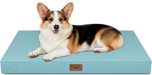 Tail Stories Outdoor Orthopedic Dog Bed, Waterproof Dog Bed for Large Dogs 36x27 Inch, Egg Crate Foam Pet Mat with Washable Removable Oxford Cooling Cover, Light Blue