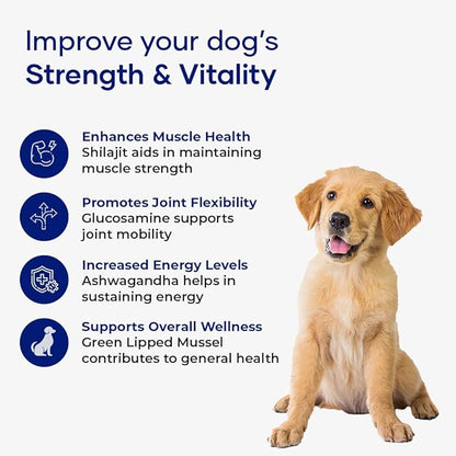 Muscle & Vitality Formula for Dogs with Ashwagandha, Shilajit, Green Lipped Mussel & Glucosamine | Pack of 3