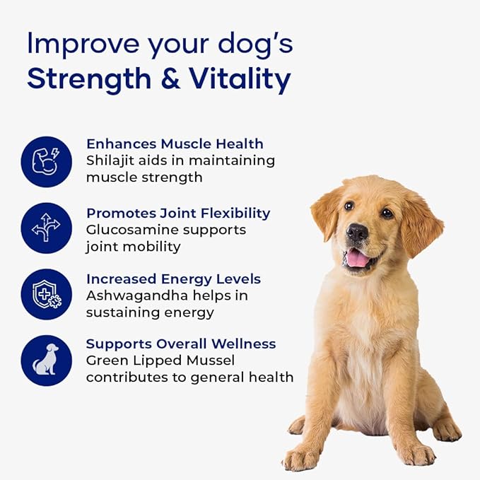 Muscle & Vitality Formula for Dogs with Ashwagandha, Shilajit, Green Lipped Mussel & Glucosamine