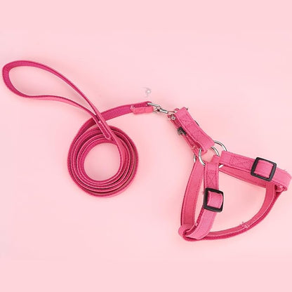 BINGPET Dog Harness Leash Set,Adjustable No Pull Step in Dog Harness,Stylish Denim Puppy Harness for Small and Medium Dogs Easy Walk Training Running(Pink,S)