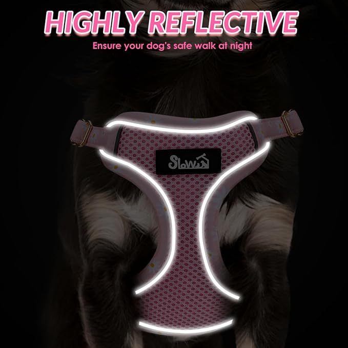 SlowTon Small Dog Harness - No Pull Dog Harness and Leash Set, Soft Mesh Lightweight Puppy Vest Harnesses, Adjustable Pet Harnesses for XXS XS Small Medium Easy Walk Hiking (Pink, XS)