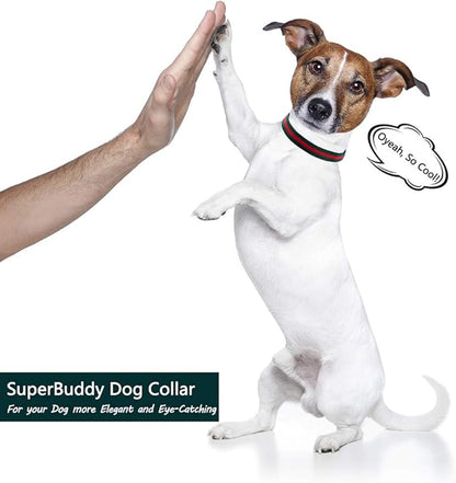 Premium Dog Collar, Cute Dog Collars Luxury Style, Durable Pet Collars with Metal Buckle Safety for Medium Dogs