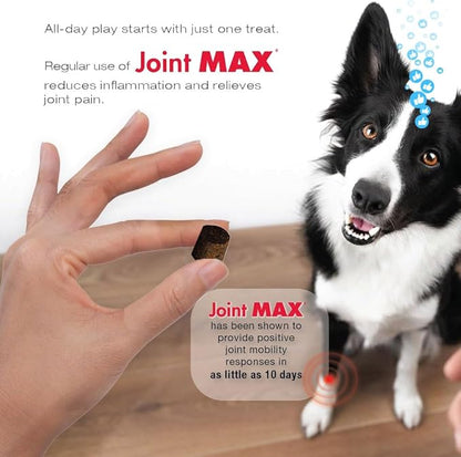 Joint Max TS Joint Supplement Vet Formulated Pain & Inflammation Relief Treats Hip Dysplasia & Arthritis, Glucosamine, Chondroitin, Turmeric, MSM, HA, Creatine, Omega 3 EPA + DHA.120 Soft Chews