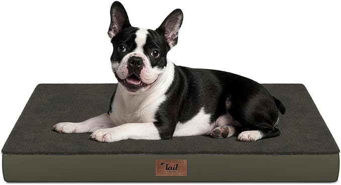 Tail Stories Plush Orthopedic Dog Bed for Medium Dogs & Puppies, Waterproof Dog Beds 29x18 Inch with Removable Washable Cover, Egg Crate Foam Flat Pet Mat, Coffee