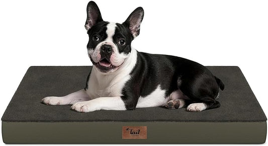 Tail Stories Plush Orthopedic Dog Bed for Medium Dogs & Puppies, Waterproof Dog Beds 29x18 Inch with Removable Washable Cover, Egg Crate Foam Flat Pet Mat, Coffee