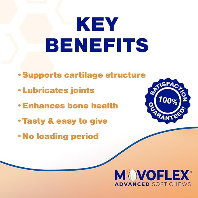 MOVOFLEX Advanced Soft Chews Hip and Joint Support Supplement for Small Dogs 60 Count by Virbac