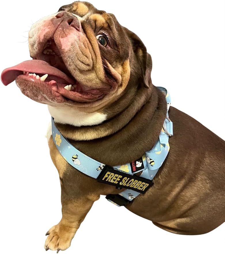 BULLHUG Adjustable Dog Harness– No Pull, No Choke – for English Bulldogs, French Bulldogs, Pugs & Broad-Chested Breeds – Easy, Safe Walks (Bumble BEE, XL)
