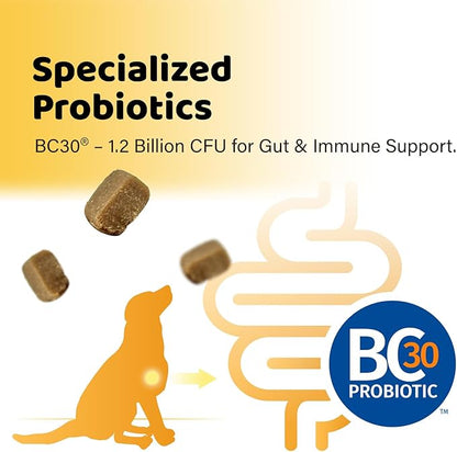 iPaw Daily Probiotic Chews for Dogs, 120 Million CFU, Probiotics Treat for Dogs' Digestive Health, Gut Health, Support Immune System, Made in USA, Duck Flavor (90 Chews)