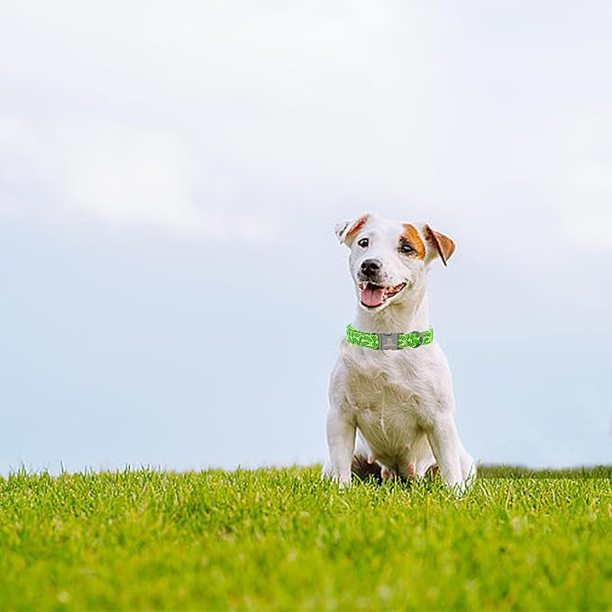 Lionheart Green Dog Collar - Soft, Durable, Adjustable for Females - Spring Collar Gift