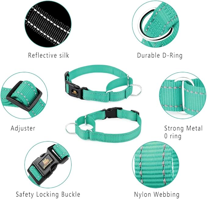Plutus Pet Reflective Martingale Collar with Buckle - Durable and Adjustable Training Collar for No Pulling, Dog Choker Collar for Small Medium Large Dogs, Teal, XS