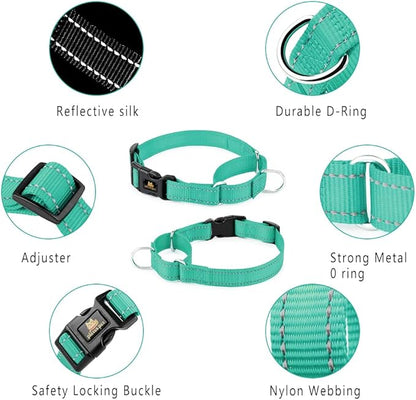 Plutus Pet Reflective Martingale Collar with Buckle - Durable and Adjustable Training Collar for No Pulling, Dog Choker Collar for Small Medium Large Dogs, Teal, XS