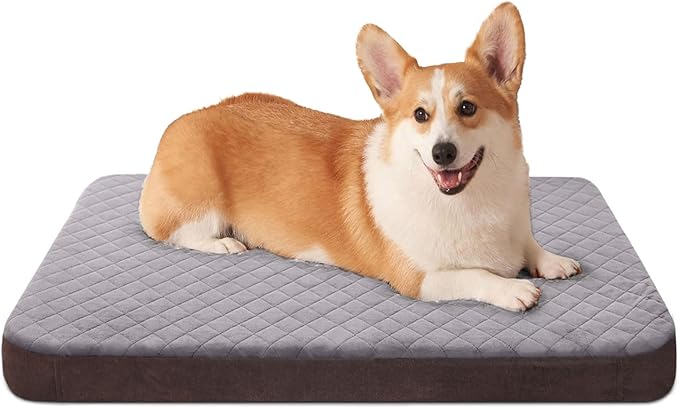 JoicyCo Dog Beds for Medium Dogs, Orthopedic Foam Dog Beds, Joint Relief Pets Sleeping Mattress, Non Slip Bottom with Washable Removable Cover, Grey