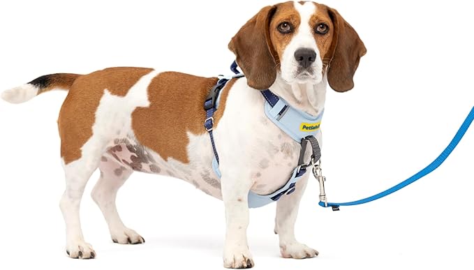 PetSafe Easy Walk Comfort No-Pull Dog Harness - Better Walk Training Harness - Full Body Padded Design - Durable Fabric - 5 Point Adjustable Fit - Everyday Leash Training - Blue - Small/Medium