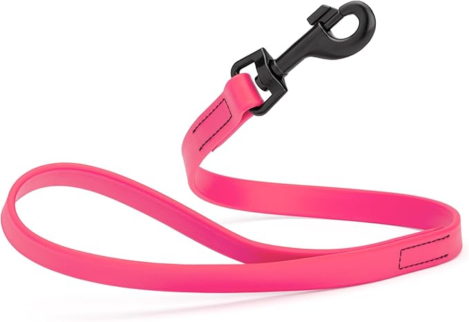 Dogline Biothane Waterproof Dog Leash Strong Coated Nylon Webbing with Black Hardware Odor-Proof Easy to Clean High Performance for Small or Large Dogs Made in USA 2 ft Lead, Passionfruit Pink