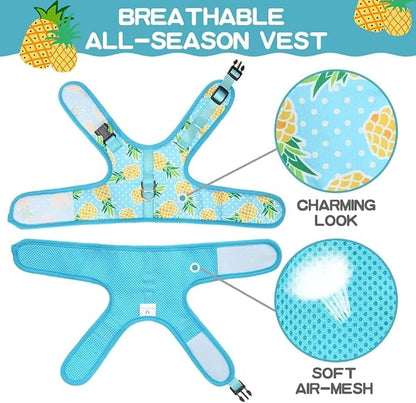 BINGPET Cat Harness - with Leash Included - Mesh Cat Dog Walking Harness Adjustable Harness for Kitties Puppy Harness Adjustable Cat Vest Harness Pineapple