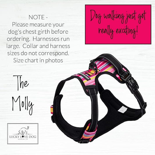 Lucky Love Dog No Pull Dog Harness, Adjustable and Easy to Walk, Cute Patterned Harness for Small Male & Female Dogs - Molly, XS