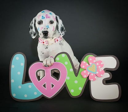 DOGWONG Valentine's Dog Collar, Adjustable Durable Pink Heart, Soft Cotton, Easy Clean, Perfect Fit for Small Medium Dogs