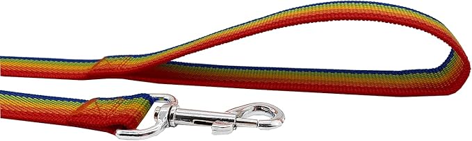Nylon Dog Training Leash, Traction Rope, 4Ft /5 Foot /6 Feet Long, 5/8 inch 3/4 Inch 1 Inch Wide, for Small and Medium Dogs (Rainbow, 1'' x 20 FT)