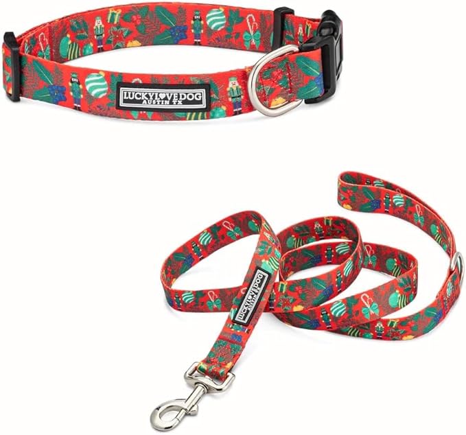 Lucky Love Dog - Easy Click Buckle Dog Collar with Leash Set Combo, Durable & Comfortable for Male & Female Dogs, Pet Collar for Small Dogs, Secure Fit - Fritz Combo, Small