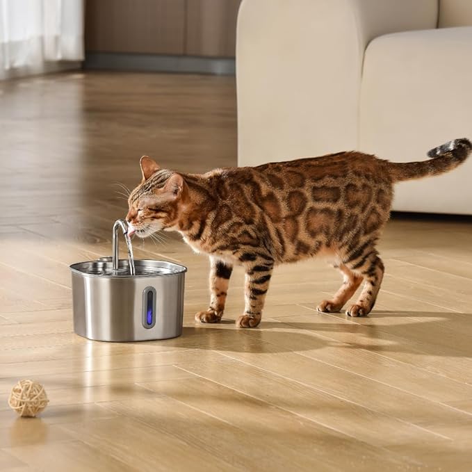 KittySpout Stainless Steel Cat Water Fountain Automatic Drinking Fountain, Quiet Circulating Water Bowl, Dishwasher Safe, Indoor Pet Fountain for Hydrated Healthy Cats (Stainless Steel, 2.2L Corded)