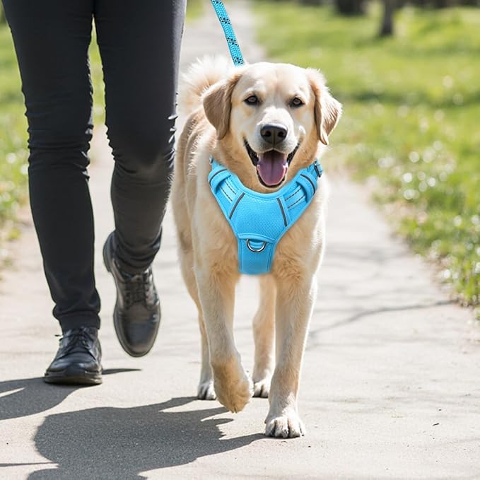 BARKBAY No Pull Dog Harness Large Reflective Dog Harness with Front Clip and Easy Control Handle for Walking Training Running with ID tag Pocket(Blue,XL)