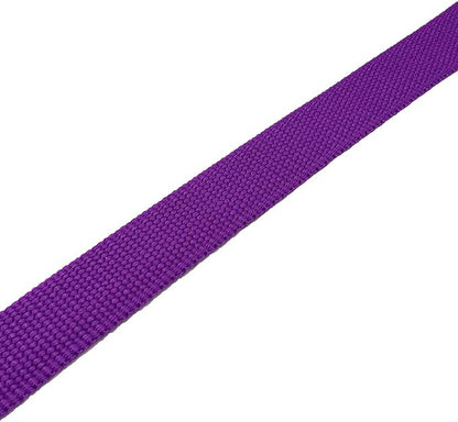 TAIAN 4FT/5FT/6FT Strong Dog Leash, Nylon Dog Leashes for Small Medium Large Dogs (Purple, 1 in x 10 ft)