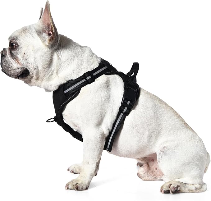 Amazon Basics No-Pull Dog Harness, Adjustable Soft Padded Vest with Reflective Stripes, Small, Black