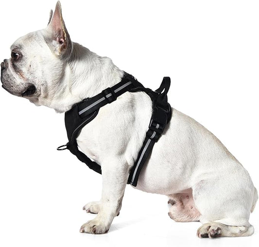 Amazon Basics No-Pull Dog Harness, Adjustable Soft Padded Vest with Reflective Stripes, Small, Black