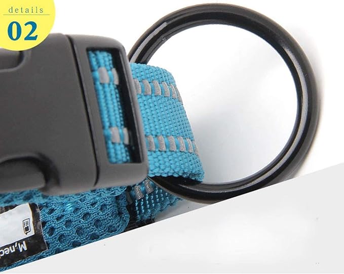 Truelove Dog Collar Reflective Premium Duraflex Buckle,High Grade Nylon Webbing No Choke Basic Collars TLC5011(Blue,L)