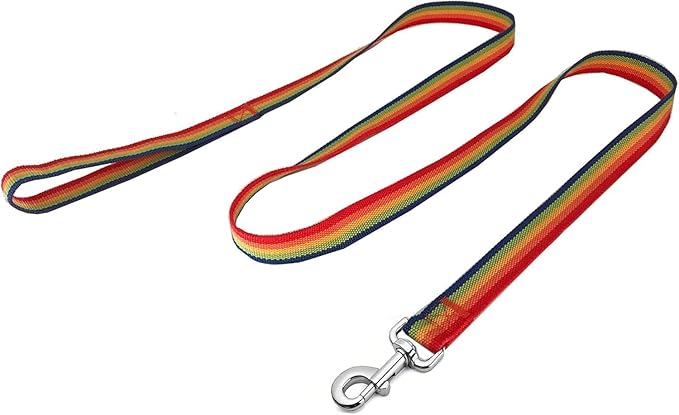 Strong Nylon Dog Leash, 4FT/ 5 FT/ 6FT Dog Leashes for Small Medium Dogs