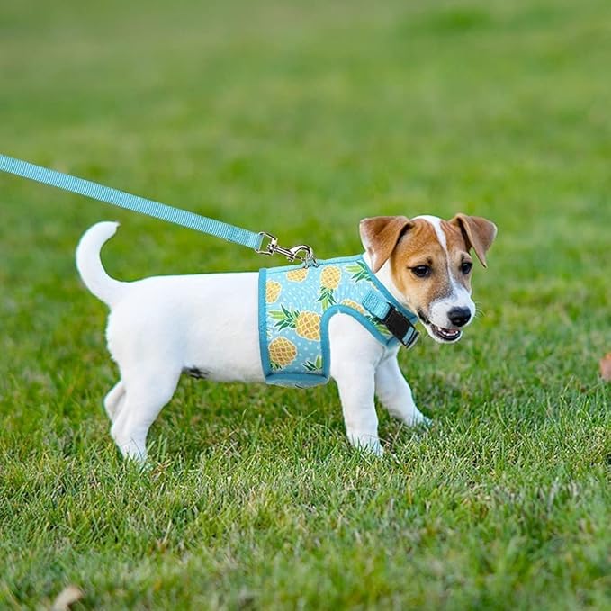 BINGPET Cat Harness - Mesh Cat Dog Walking Harness with Leash - Adjustable Cat Vest Harness for Kittens and Puppies - Pineapple