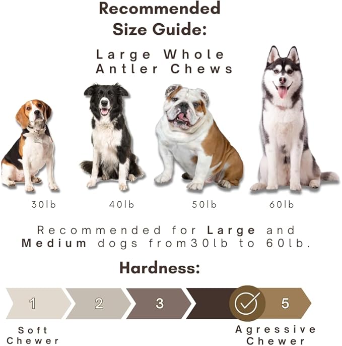WhiteTail Naturals (3 Pack Deer Antlers for Large Dogs, Antler Dog Chews - Crafted in USA Dog Antler - Long Lasting Bone for Aggressive Chewers