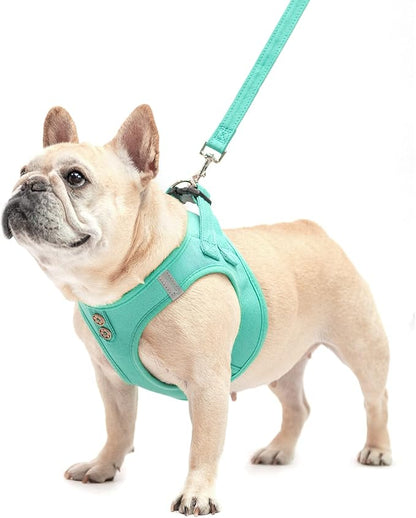 PUPTECK Dog Harness and Leash Set for Small Medium Dogs No Pull Step-in Soft Mesh Puppy Cat Vest Harnesses Reflective at Night, Denim Green XS