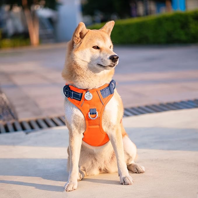 PHOEPET No Pull Dog Harness, Unique Colors Reflective Adjustable Dog Vest, with Soft Training Handle Metal Clips for Small Medium Large Dogs (Orange Base & Blue Straps,XL)