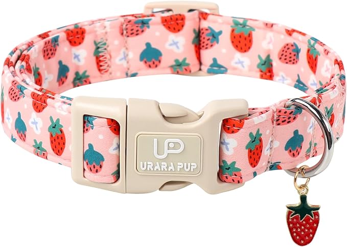UP URARA PUP Dog Collar-Summer Puppy Collars-Adjustable Strawberry Pet Collar for Small,Medium,Large Dogs-Durable & Cute Design
