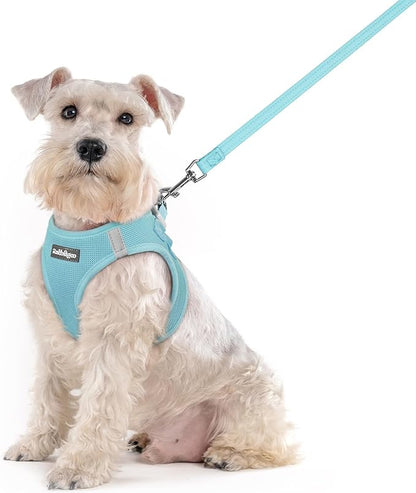 rabbitgoo Dog Harness Medium Sized and Leash Set, Step in Soft Light Puppy Vest, Breathable Mesh Pet Harness, Reflective for Safe Easy Walking, Mint Blue XXL