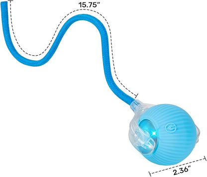 JINDILONG Cat Toy, Electric Interactive Toys for Indoor Cats, Blue