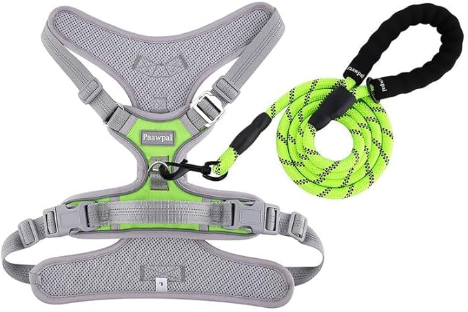 Paawpal Adjustable Dog Harness - No Pull, Reflective, Soft Padded for Small, Medium, Large Dogs - Includes Leash Green XL