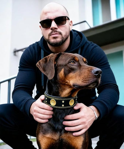 Leather Dog Collar, 2 inches Wide Heavy Duty Genuine Leather Collars, Handmade, Soft, and Luxury, Eye-catching Best Choice for Large and Medium Breed Dogs, Black-Gold 15-19 ins