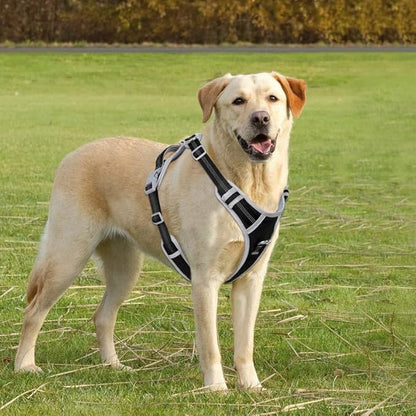 Paawpal Adjustable Dog Harness - No Pull, Reflective, Soft Padded for Small, Medium, Large Dogs - Includes Leash and Collar Black M