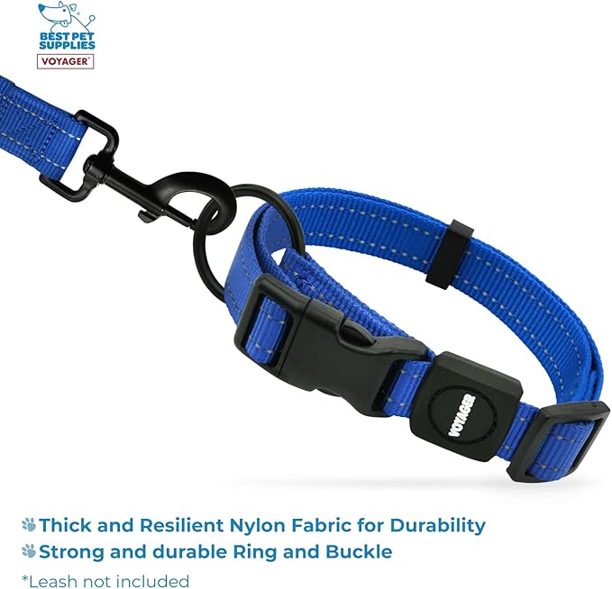 Best Pet Supplies Voyager Reflective Dog Leash or Collar with Neoprene Handle, for Small, Medium, and Large Breed Puppies, Cute and Heavy Duty for Walking, Running and Training - Royal Blue, M