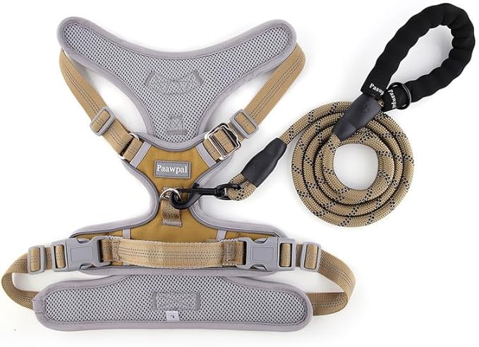 Paawpal Adjustable Dog Harness - No Pull, Reflective, Soft Padded for Small, Medium, Large Dogs - Includes Leash Beige L