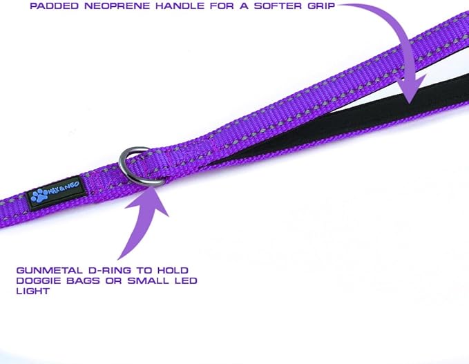 Max and Neo Small Dog Leash - Reflective Nylon, Donates to Dog Rescue (Purple, 4x5/8)