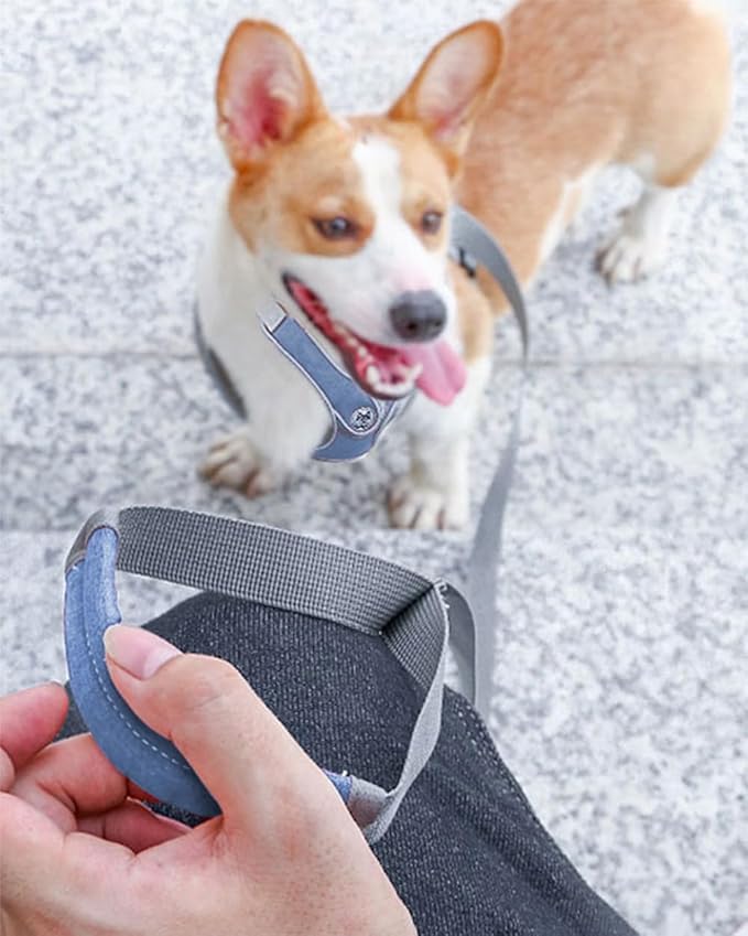 Small Dog Harness and Leash Set,No Pull Adjustable Step in Soft Mesh Vest Harness,Easy Walk Reflective Pet Harness with Padded Handle for Walking Training Small Medium Large Dogs and Cats (Blue, S)
